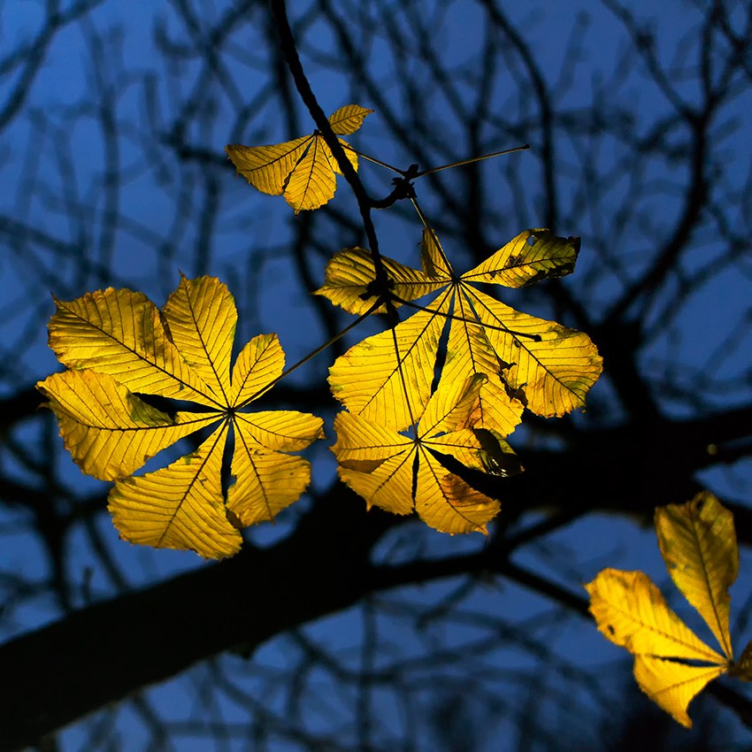 Landscape. Vasiliy Riabovol – Fine Art Photography | Zeit, Raum und Stille