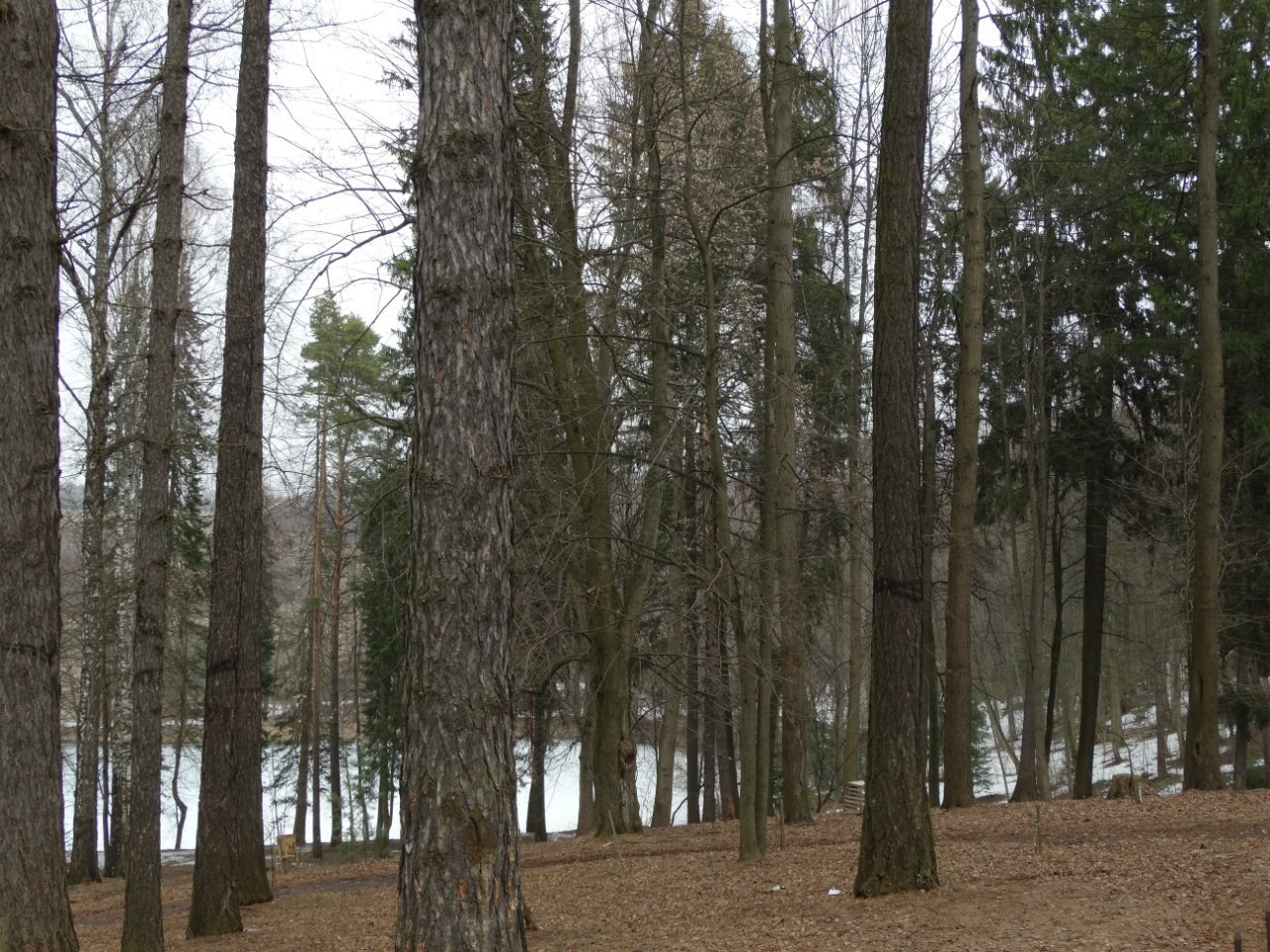 Середниково — Piligrim Porto — Братцево — Сходненская чаша | 09.04.2016. Галерея Фантим