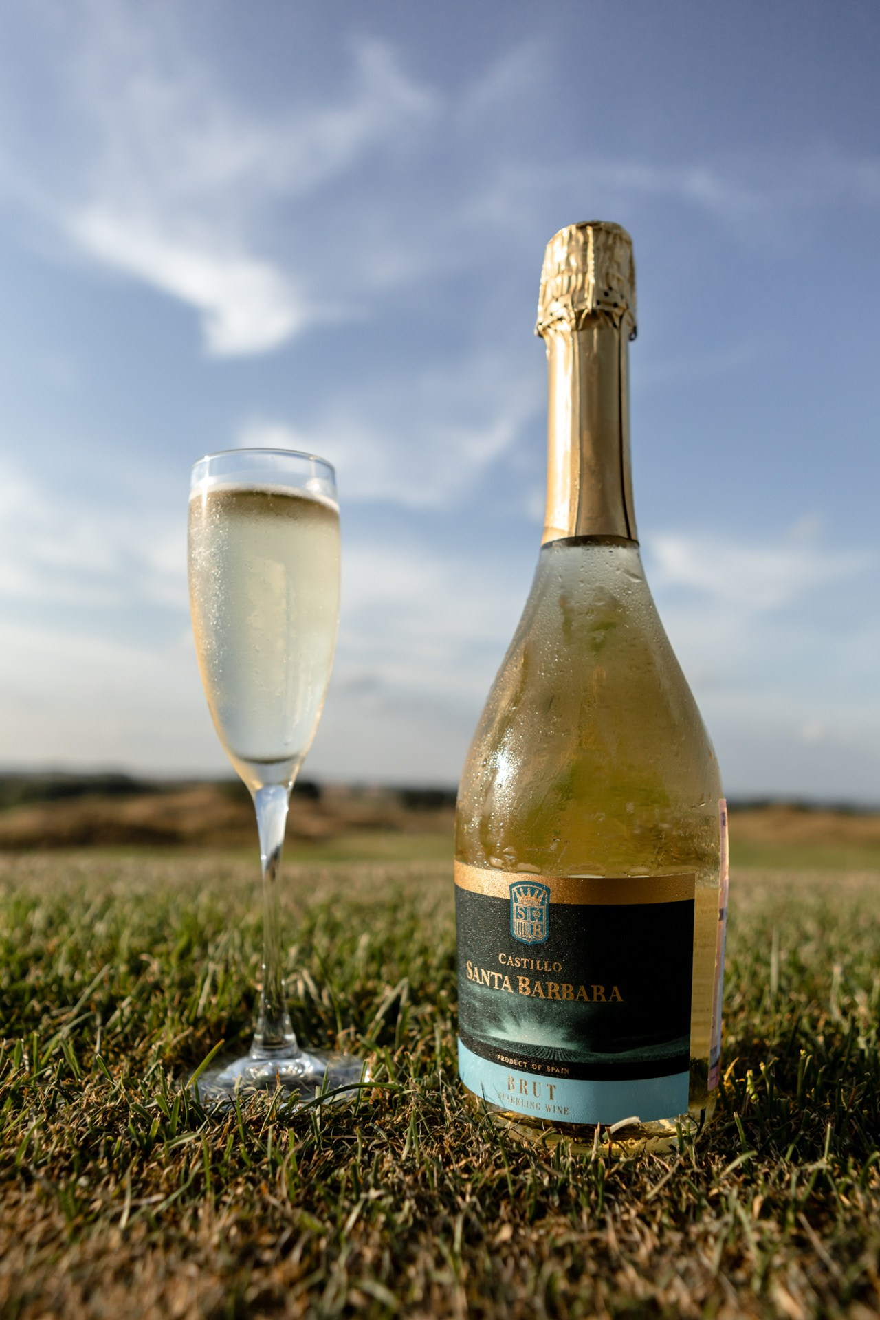 Chateau le Grand Vostock (Links National Golf Resort). Фотограф Владимир Молоканов