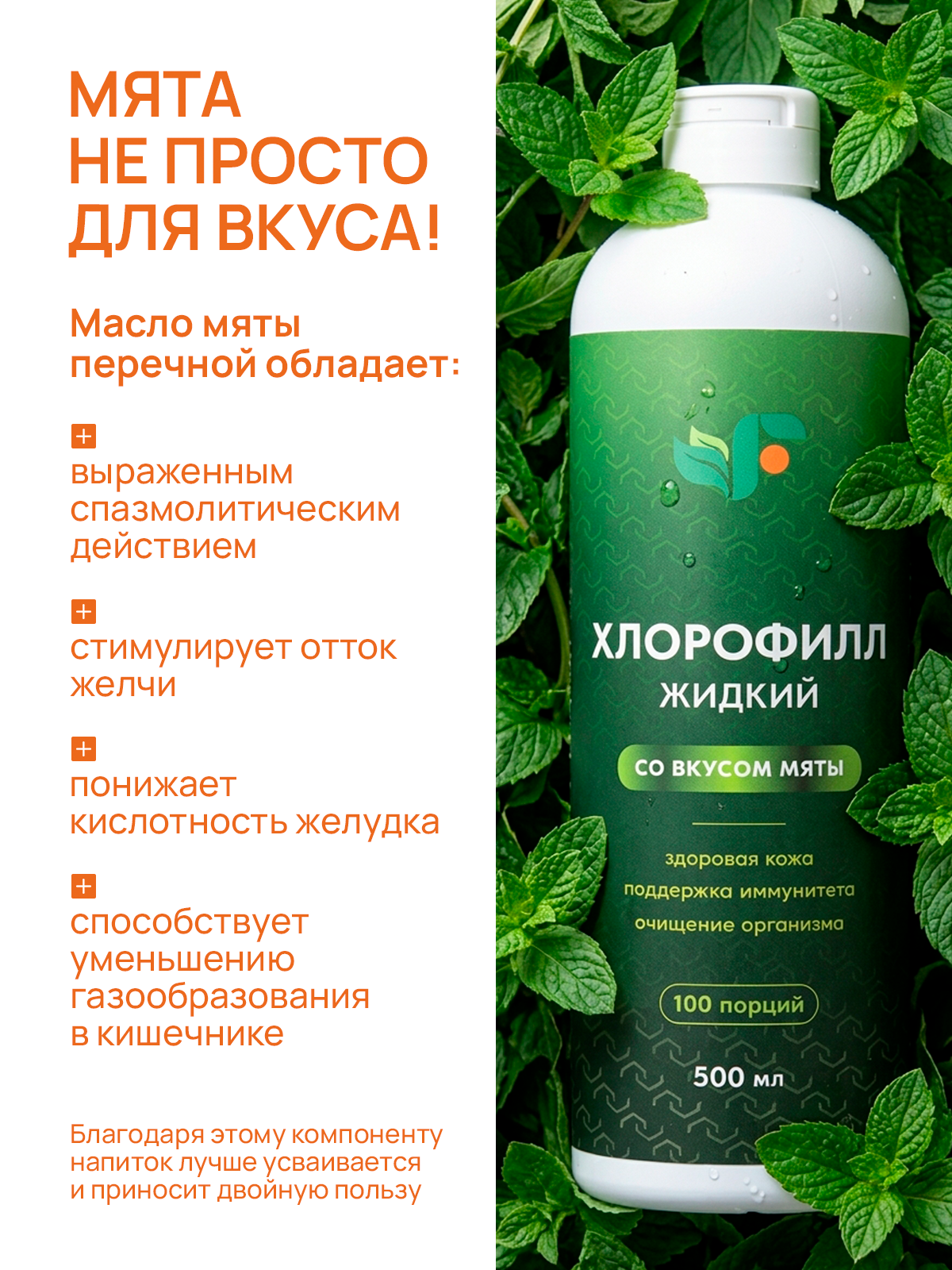 ВИТАМИНЫ И БАДЫ. Студия Антонины Баушевой