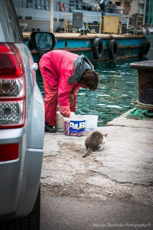 Пейзажи крыма, пейзажная фотография, ландшафт, южный крым, фотография,. Мария Ткаченко. Документальная фотография