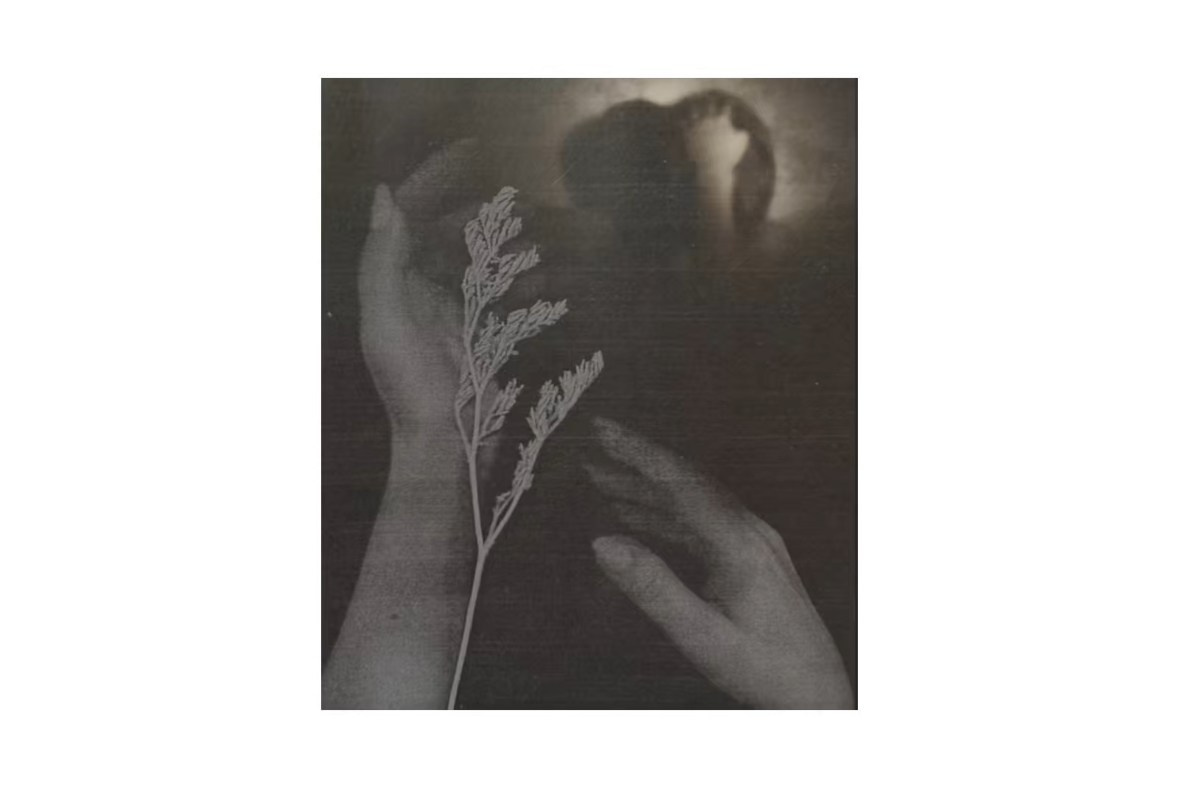 Визуальное искусство. Женский фотограф, видеограф, визуальный артист. Радужный ХМАО