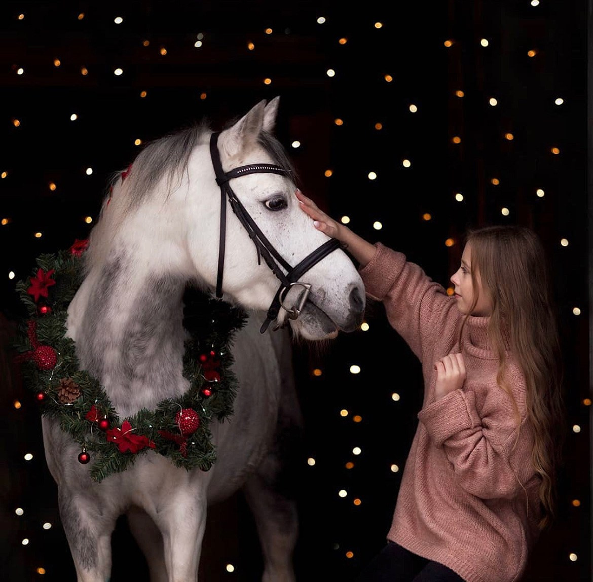 Фотосессия с лошадью зимой. Фотосессии с лошадьми в Москве от Конный фотографа Кутейниковой Светланы