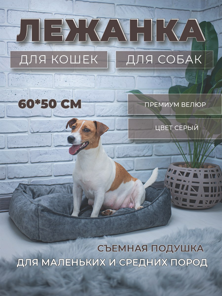 Инфографика. Предметный фотограф для маркетплейсов в Раменском