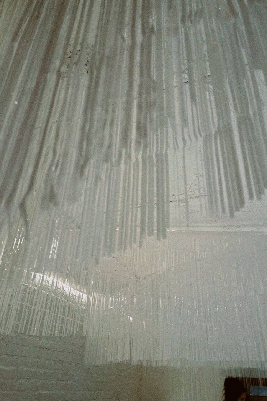 М4 Елка. Фотограф Настя Лев