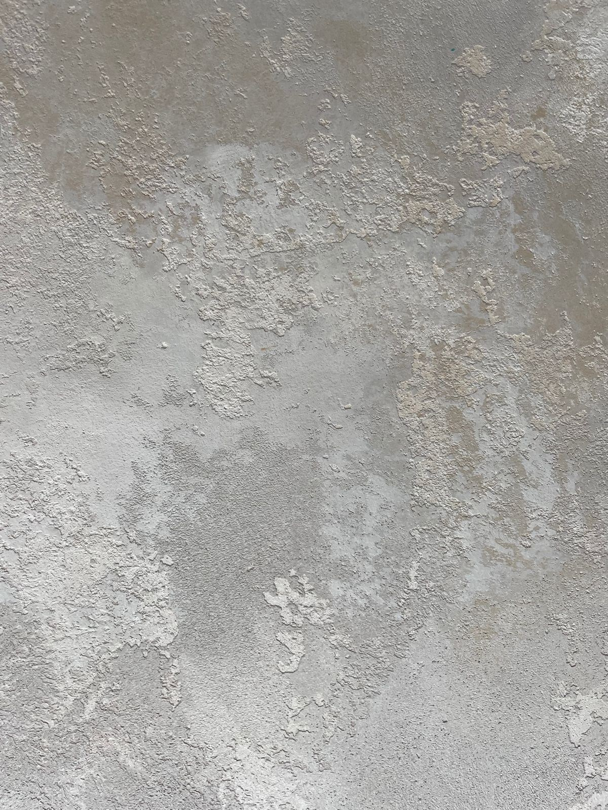 Декоративные штукатурки. Мамонт