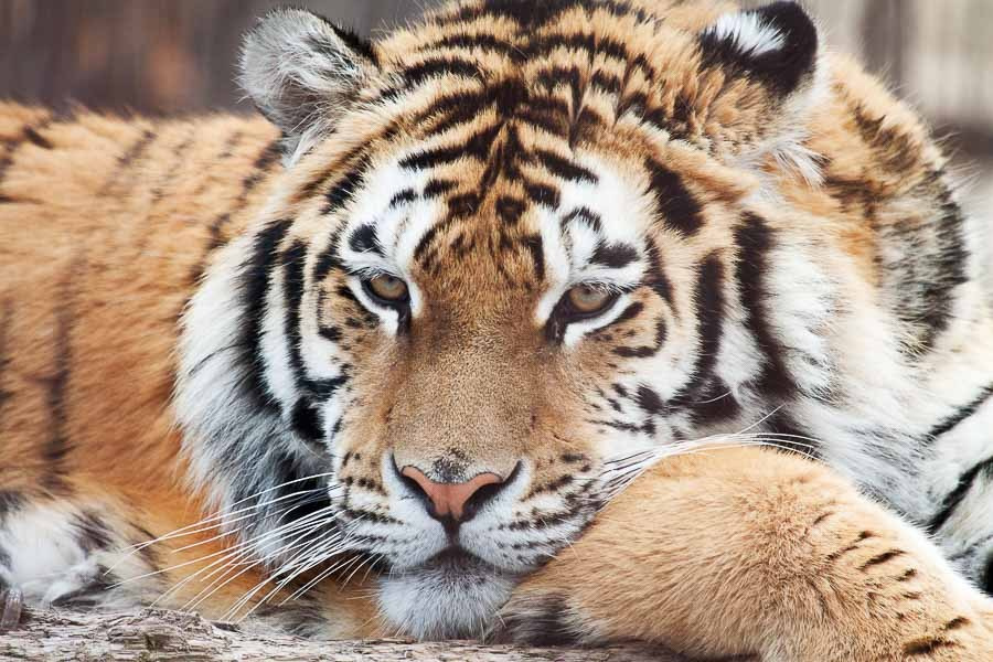 Street art. Фотостудия Алматы. Фотосъемка Алматы. Фотосессия Алматы. Фотокурсы. Обучение фотографии. Аренда студии