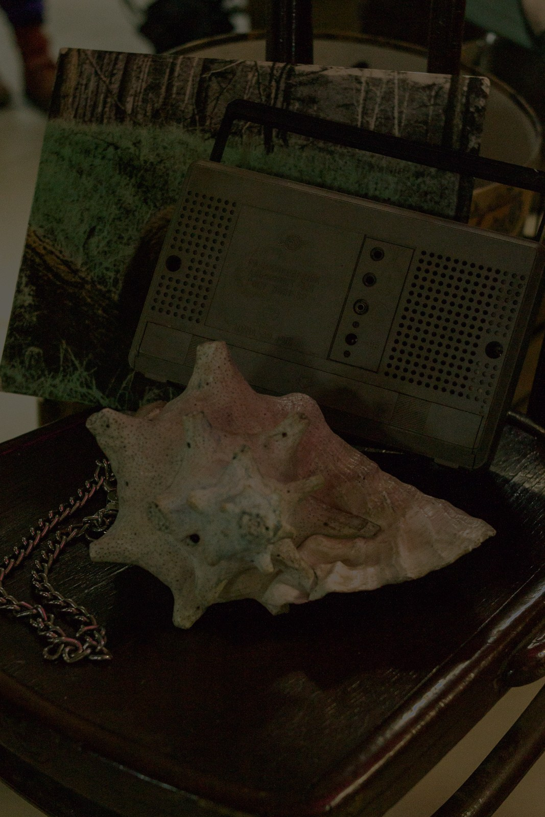 Гаражка 2023. Борщевская Елизавета / фотограф Иркутск