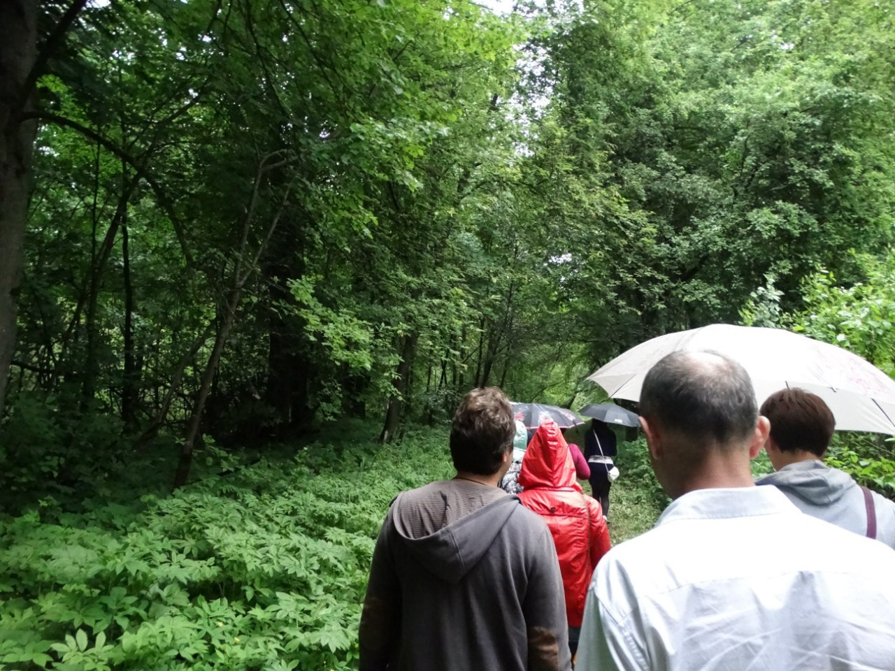 Волоколамск | 04.06.2016 г. Галерея Фантим