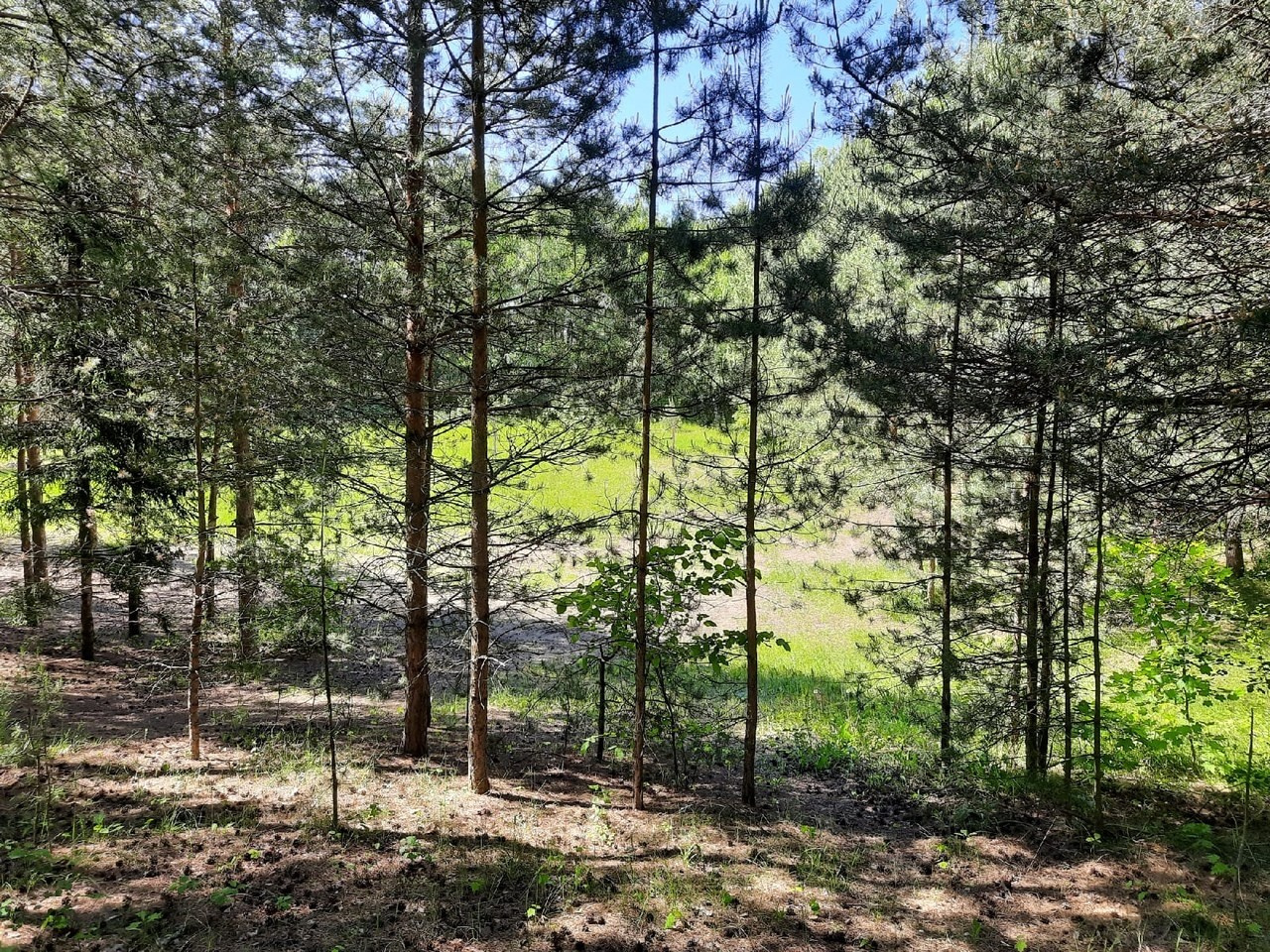 Пятница! | 2021. Галерея Фантим