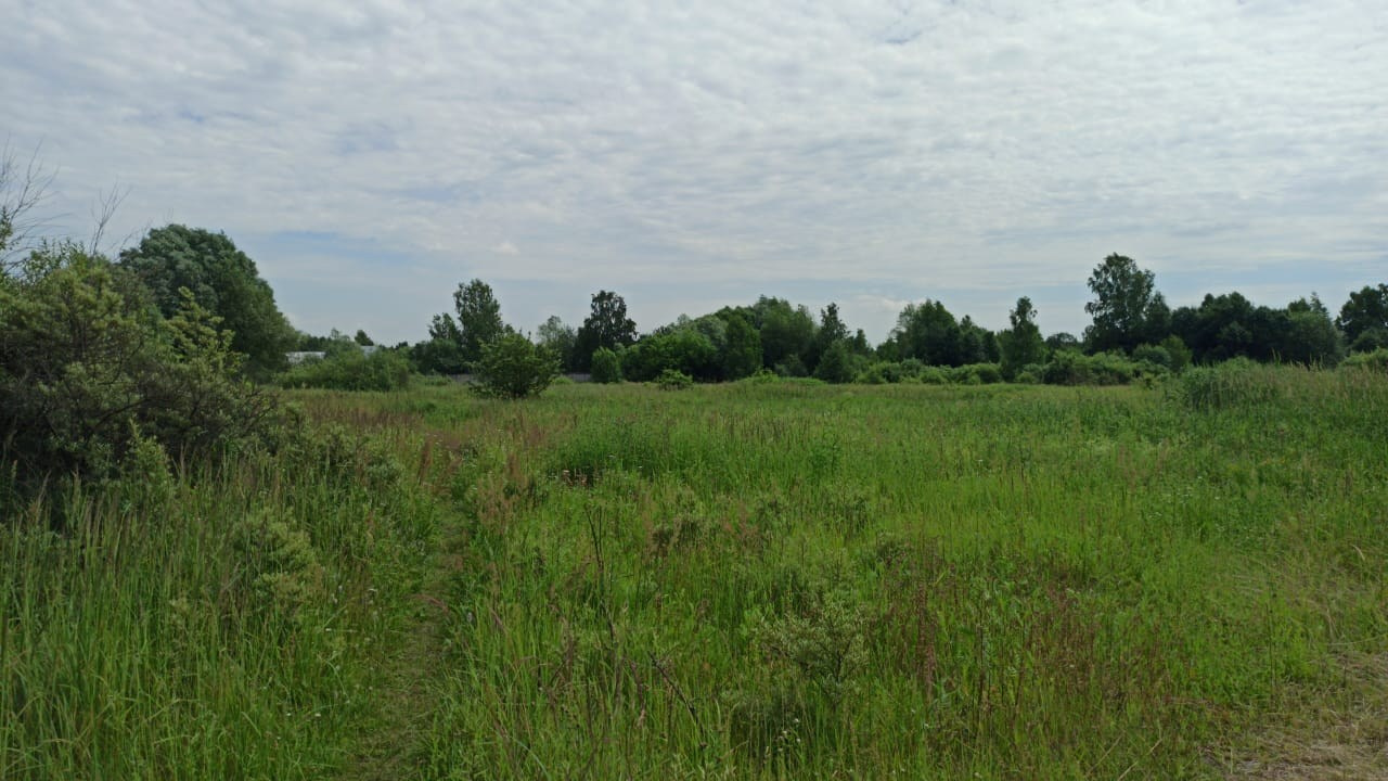 Походная Романтика 31. ФанФест на Клязьме | 2020. Галерея Фантим