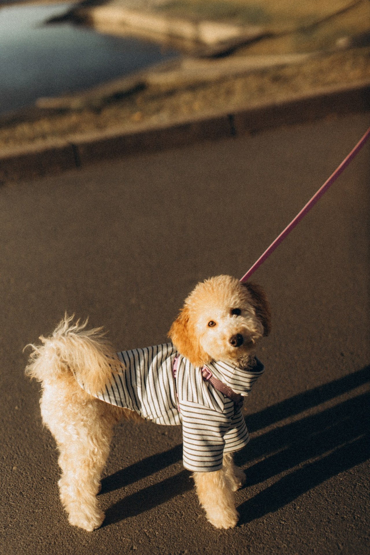 Feedback. Снимаю истории про вас. Фотограф Наталья Кац