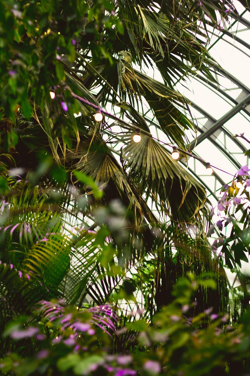 Petro Art — квартет в Таврическом саду (Рок Хиты). EvgenyCraft