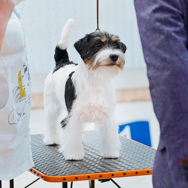 Port Fortis Destiny Of Love