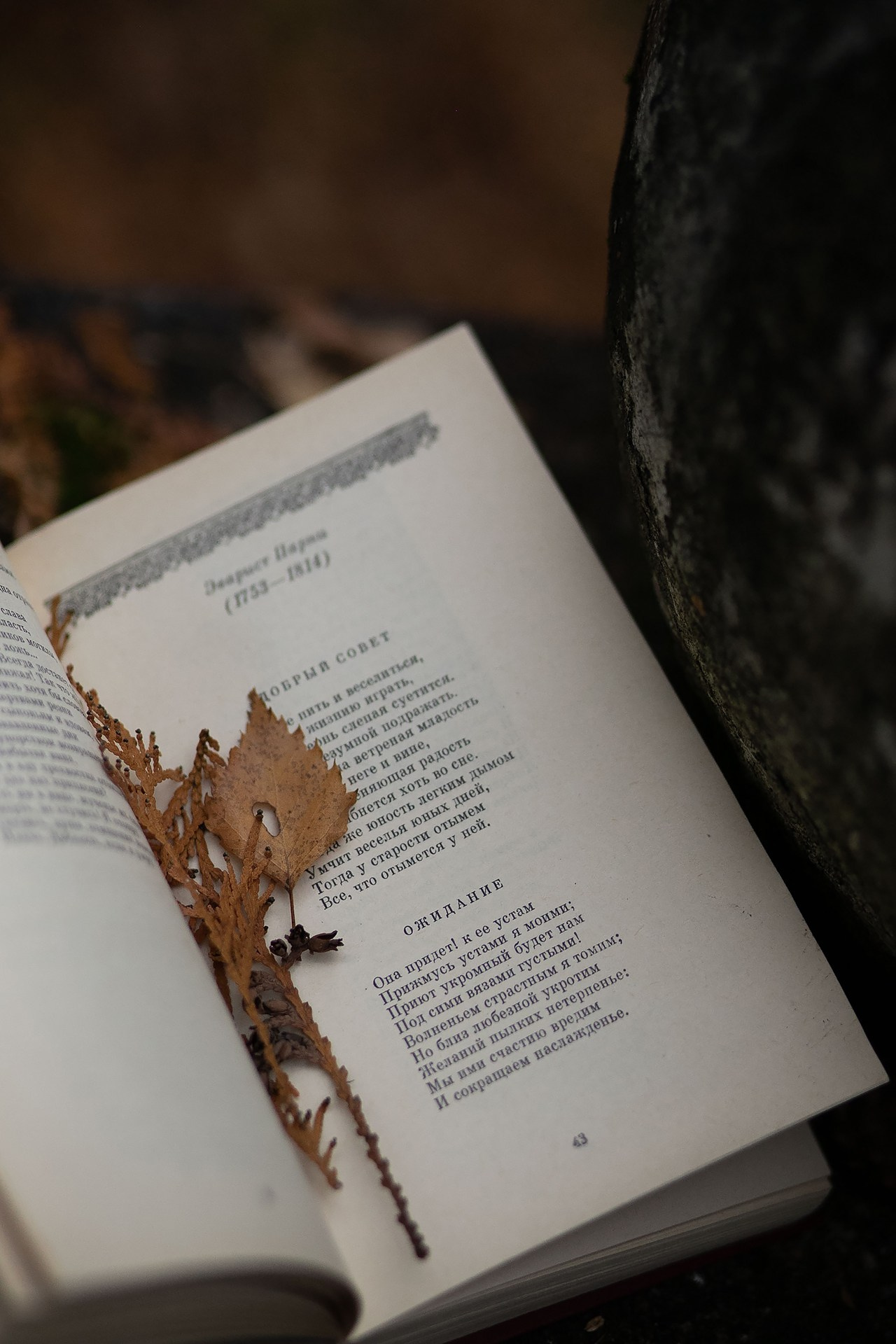 Мария. Прогулка. Художественная винтажная фотография