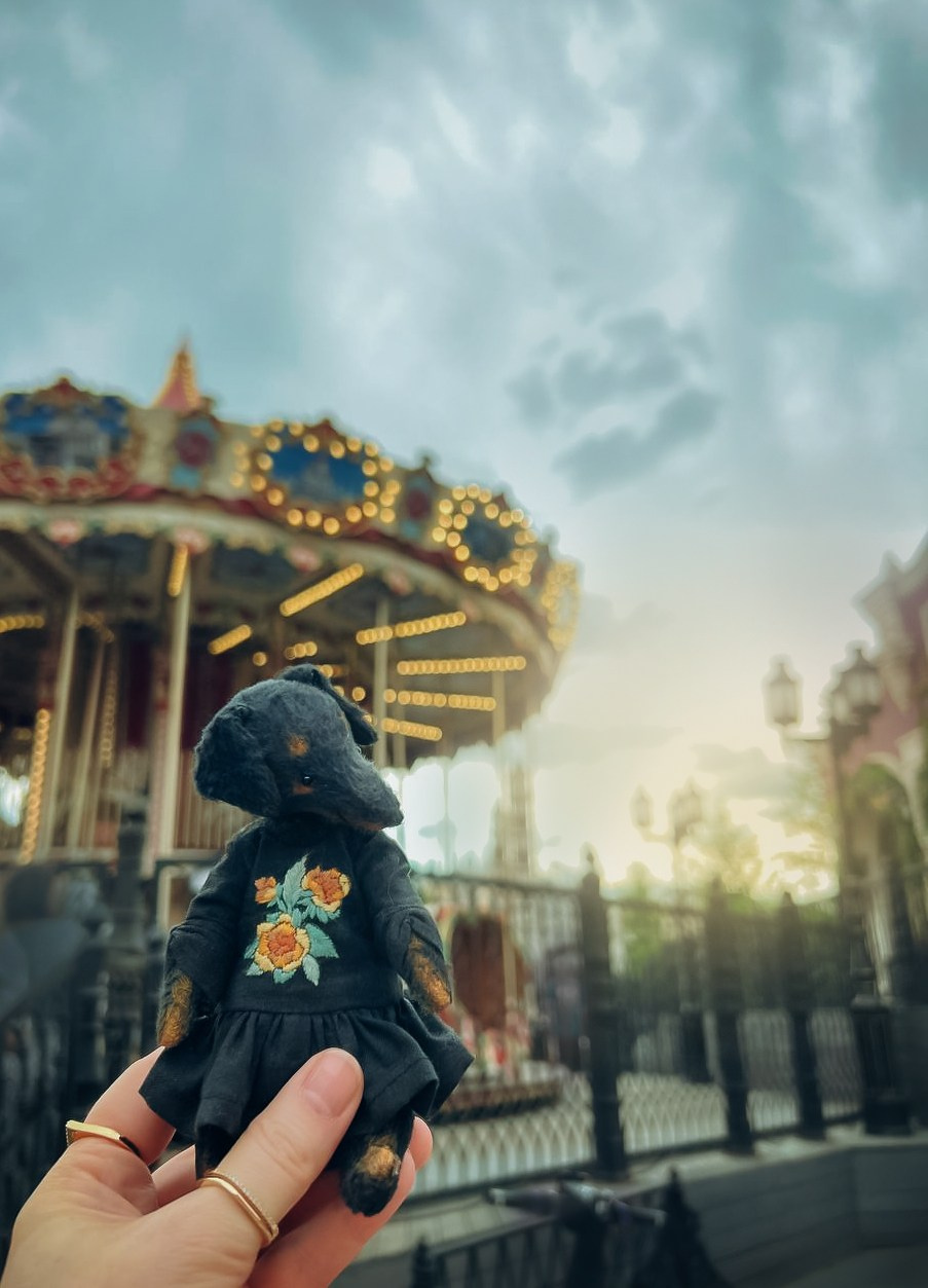 Тедди. Фотограф Ольга Сальманович