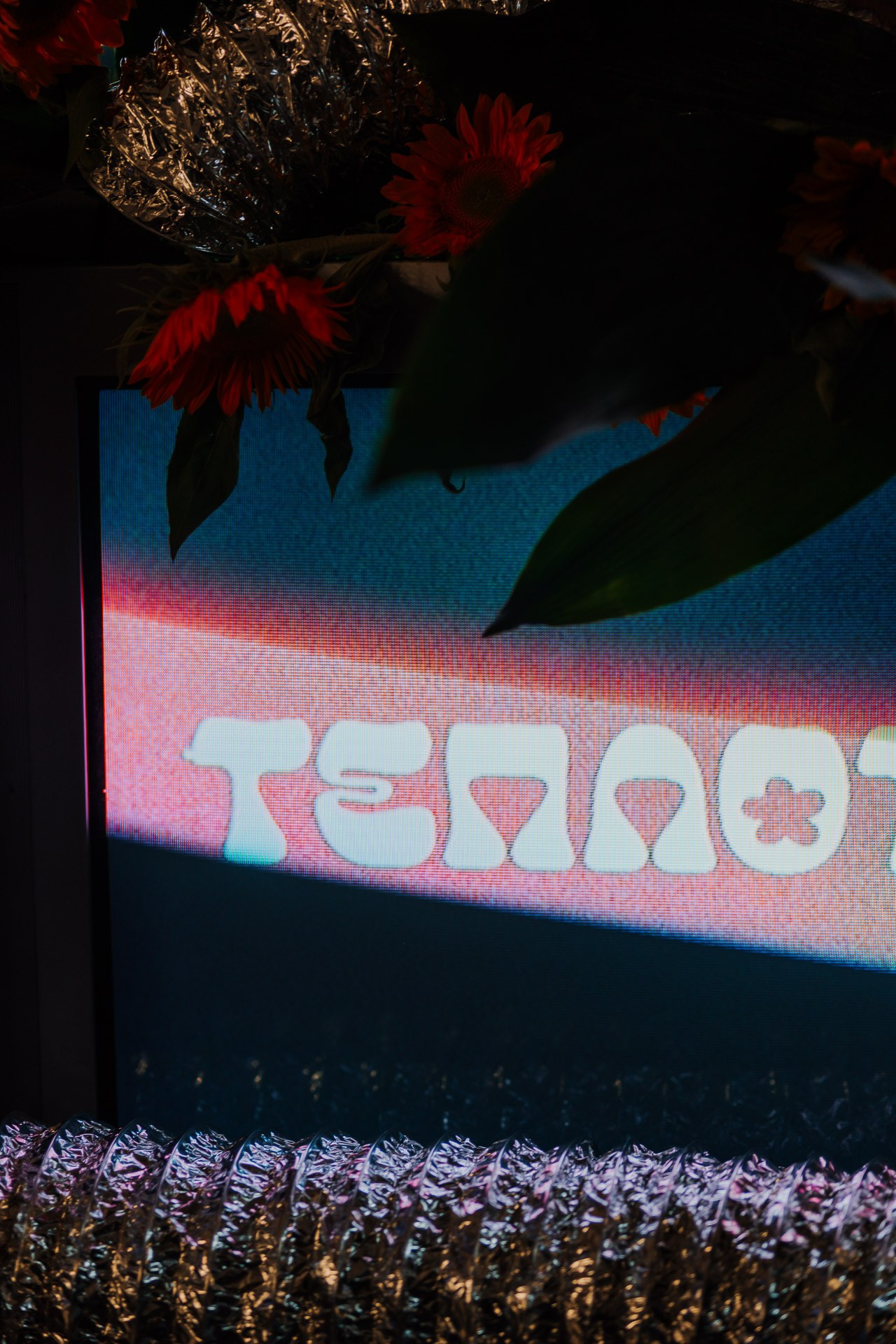 Çava MTV Hits. Андрей Цветков — репортажный, свадебный и портретный фотограф в Санкт-Петербурге