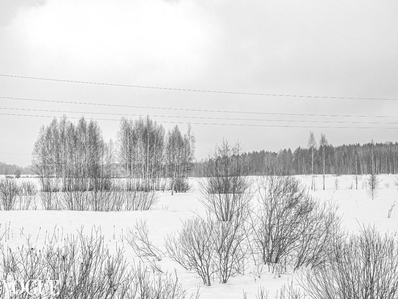 Цифровые платформы. Арт-фотограф Ксения Якутович