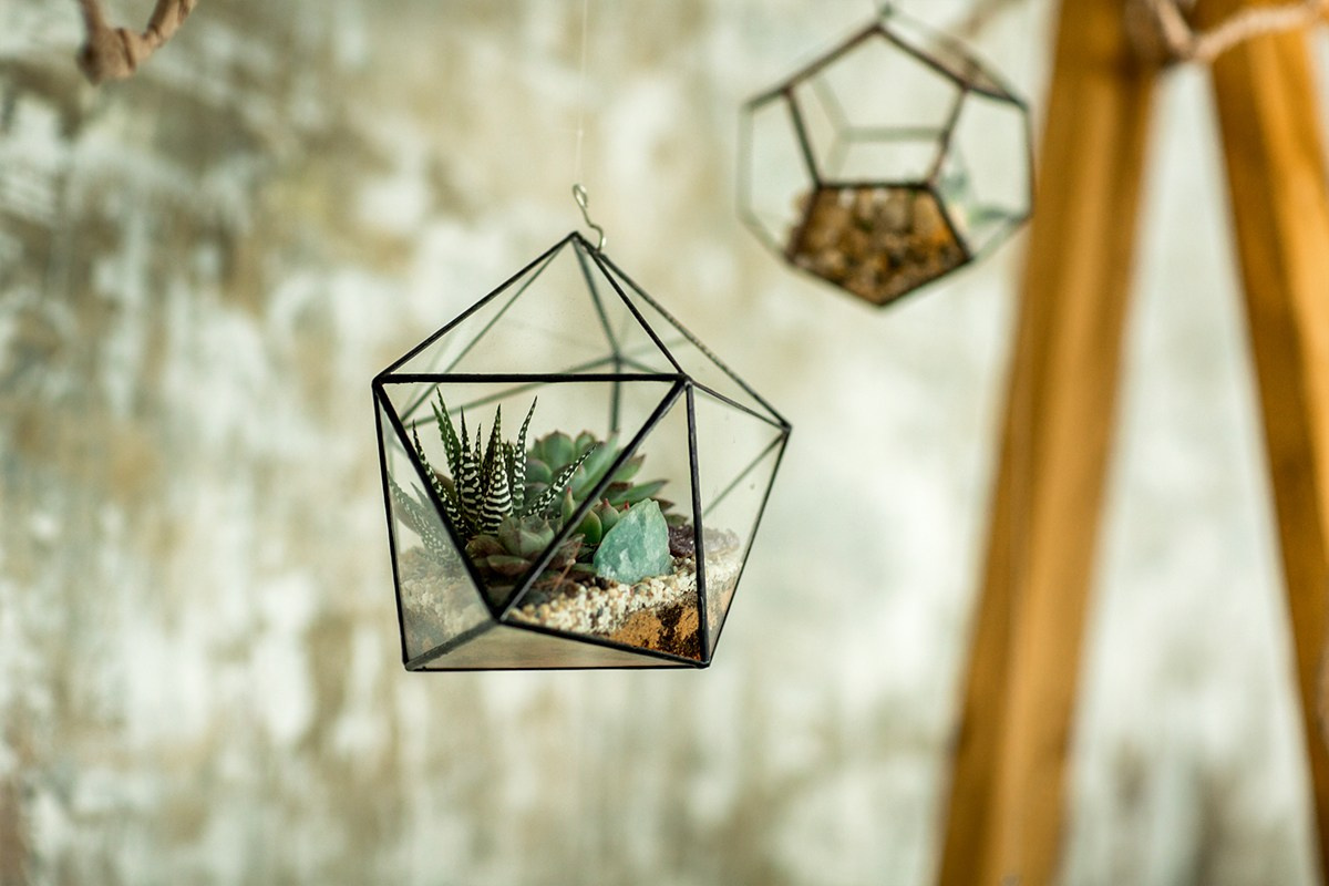 Саша + Аня. Главная