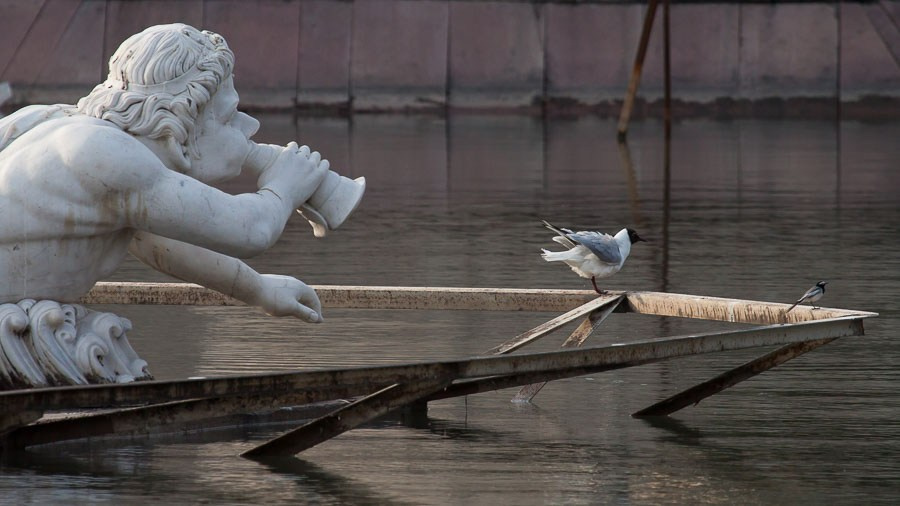 Street art. Фотостудия Алматы. Фотосъемка Алматы. Фотосессия Алматы. Фотокурсы. Обучение фотографии. Аренда студии