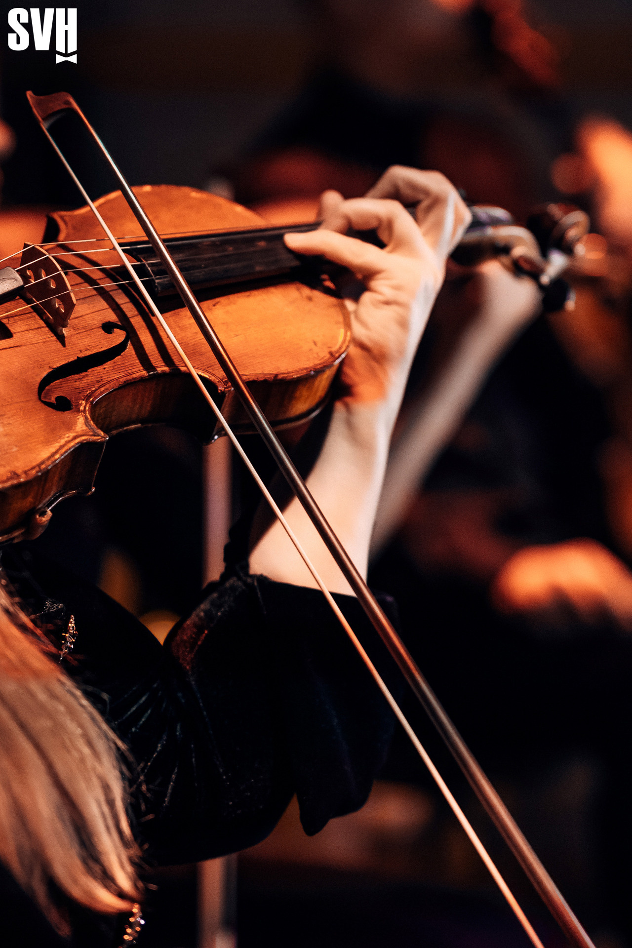 Концерты. Репортажный и студийный фотограф в Санкт-Петербурге Марк Скворцов