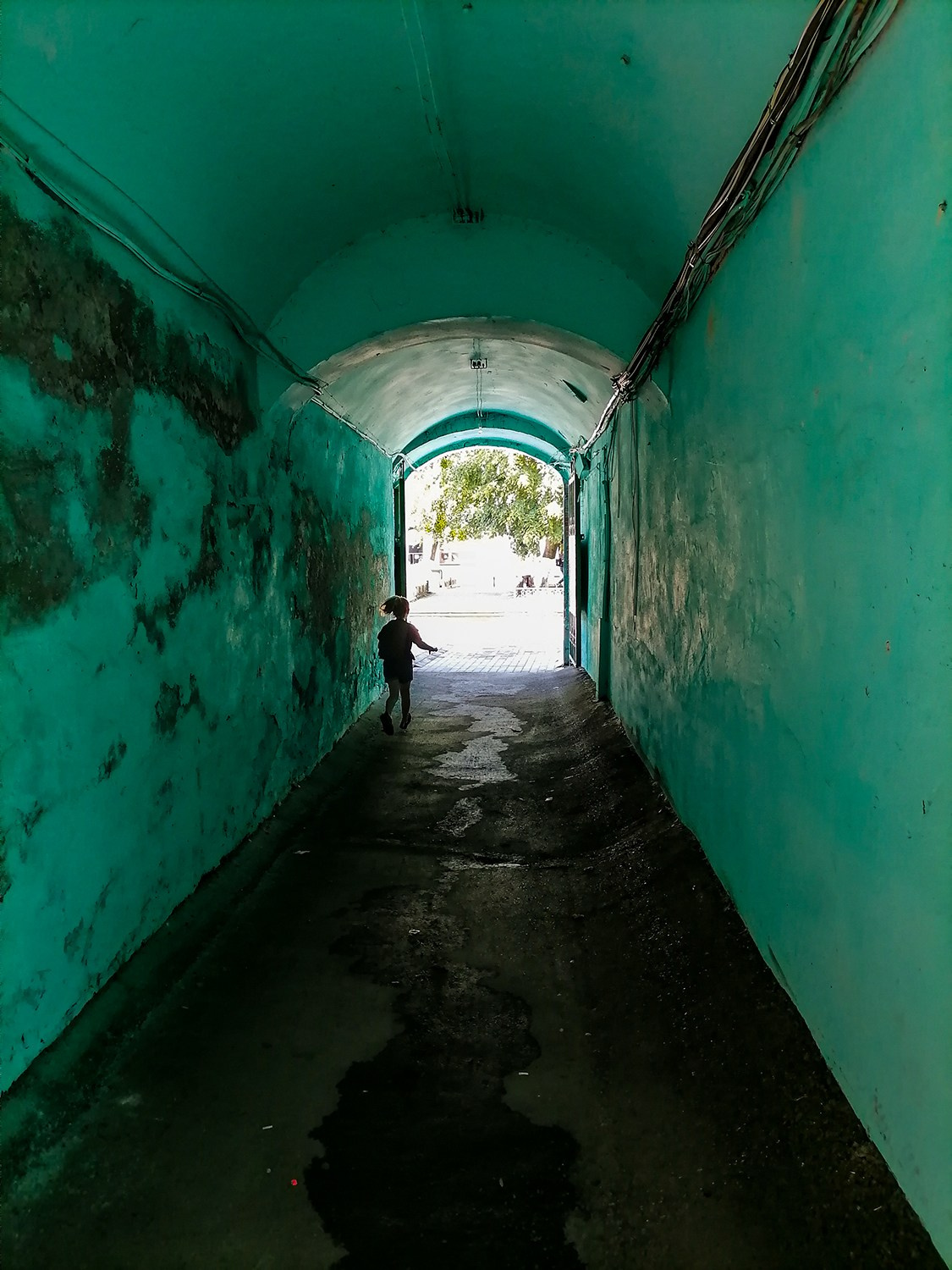 Мобильная фотография. Фотография — это воспоминания…