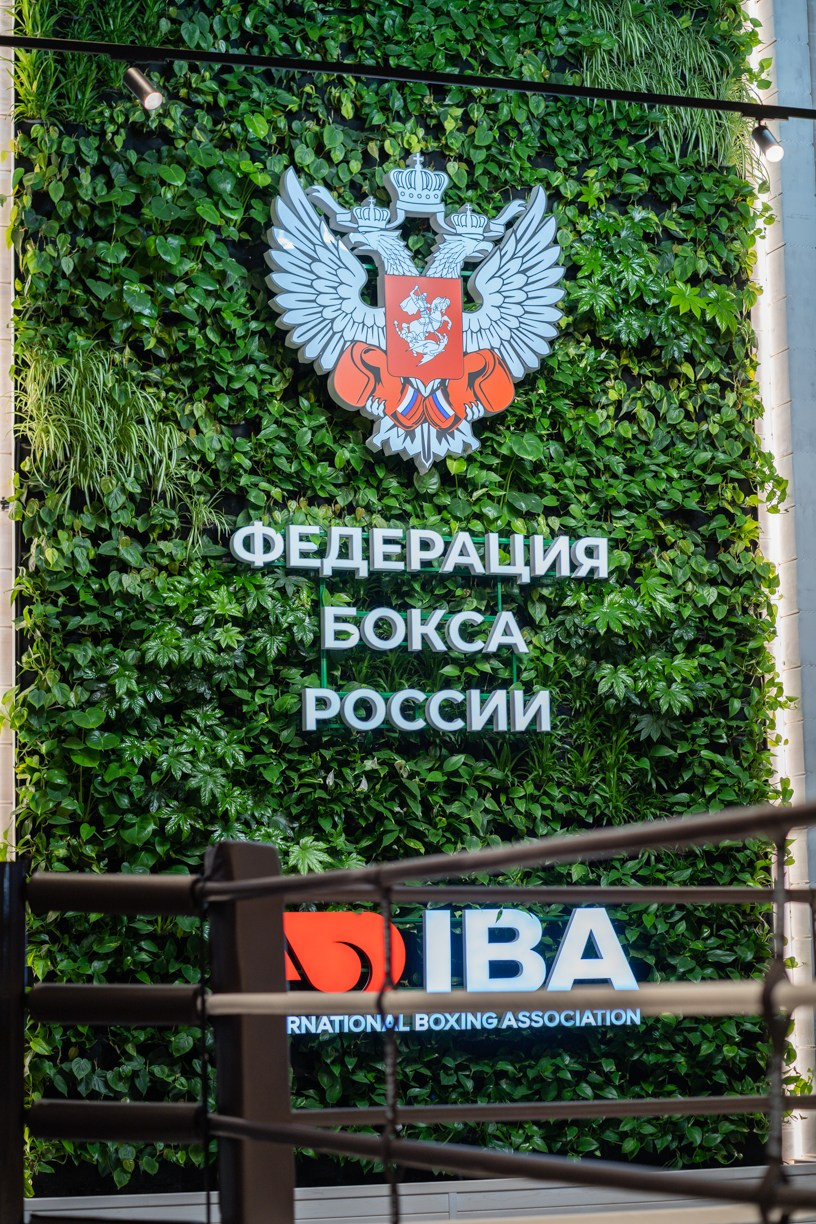 Бокс для канала «Пятница». Семейный и детский фотограф Ирина Ильиных-Вольная в Москве и не только