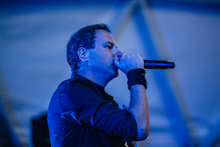 Animal ДжаZ. Фотограф Михаил Ряховский