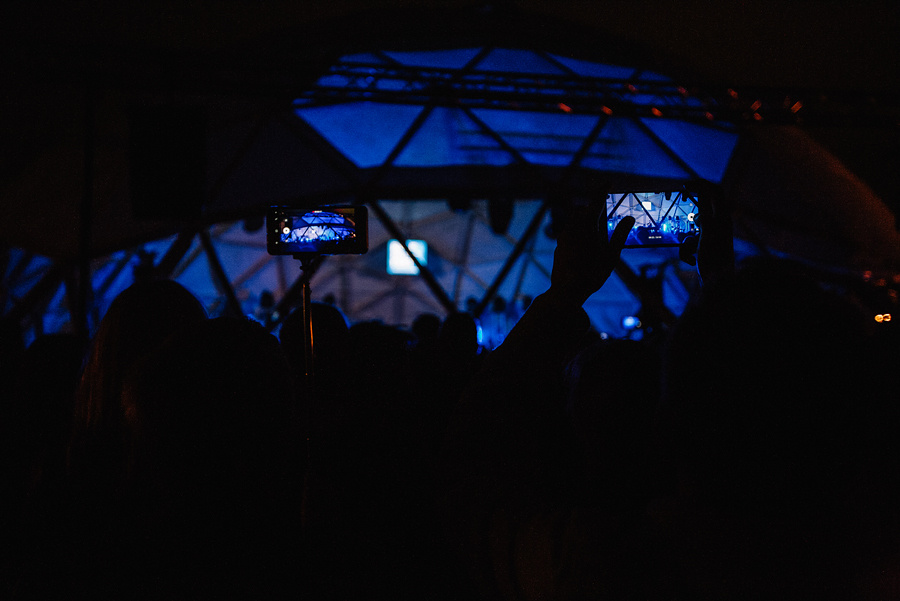 Animal ДжаZ. Фотограф Михаил Ряховский