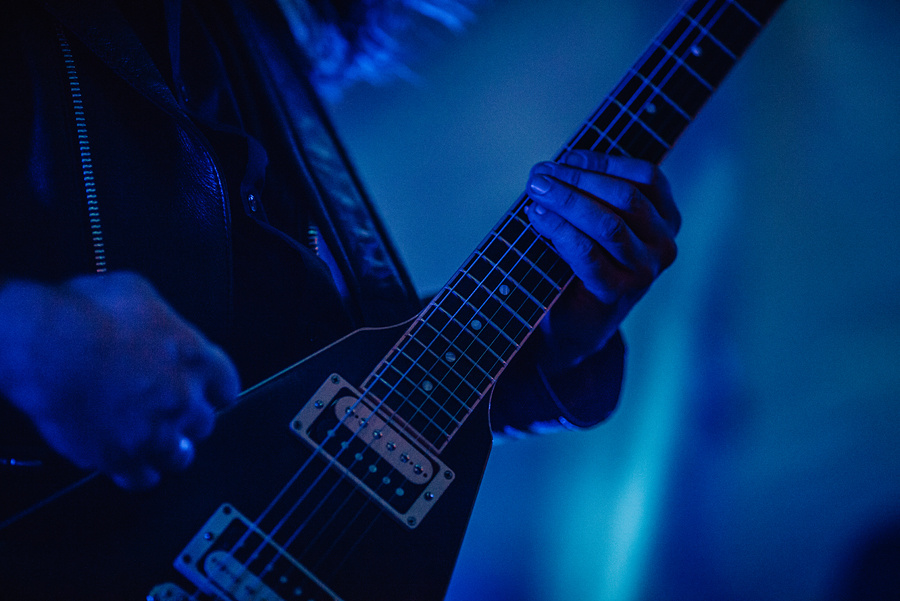 Animal ДжаZ. Фотограф Михаил Ряховский