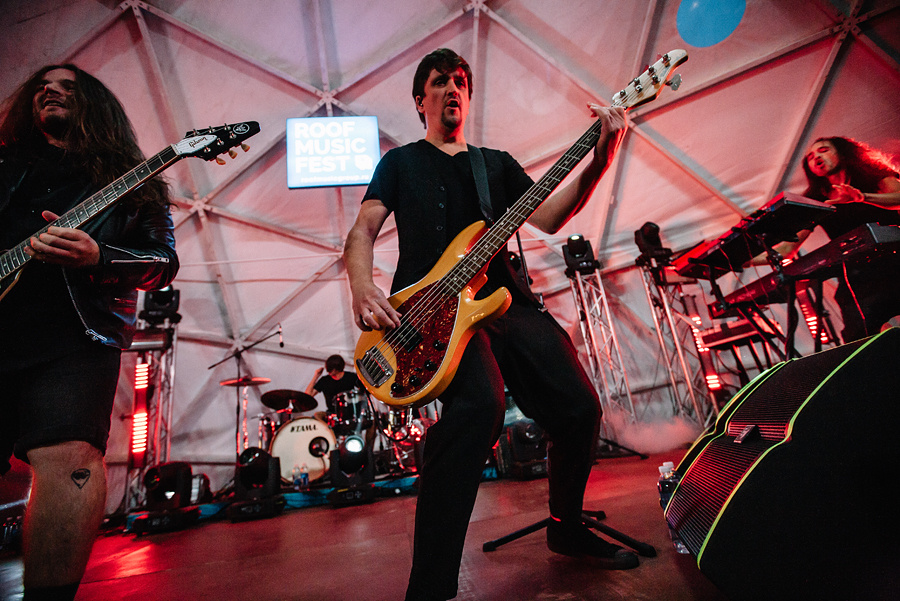 Animal ДжаZ. Фотограф Михаил Ряховский