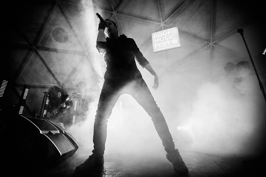 Animal ДжаZ. Фотограф Михаил Ряховский