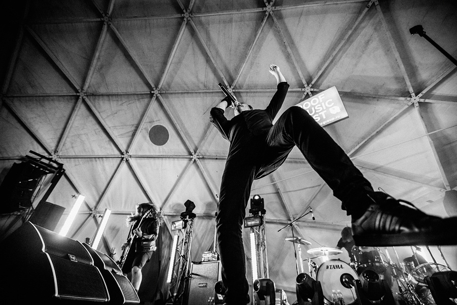 Animal ДжаZ. Фотограф Михаил Ряховский