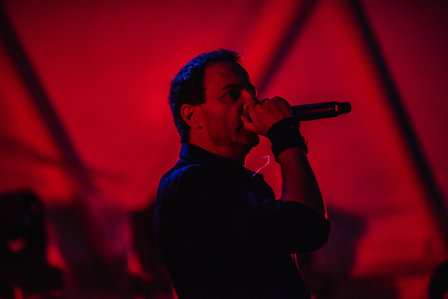 Animal ДжаZ. Фотограф Михаил Ряховский