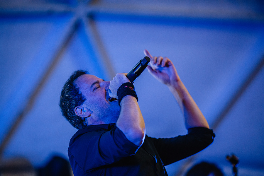 Animal ДжаZ. Фотограф Михаил Ряховский