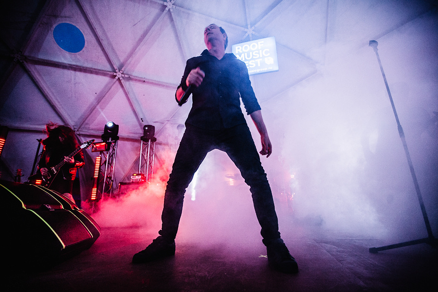 Animal ДжаZ. Фотограф Михаил Ряховский