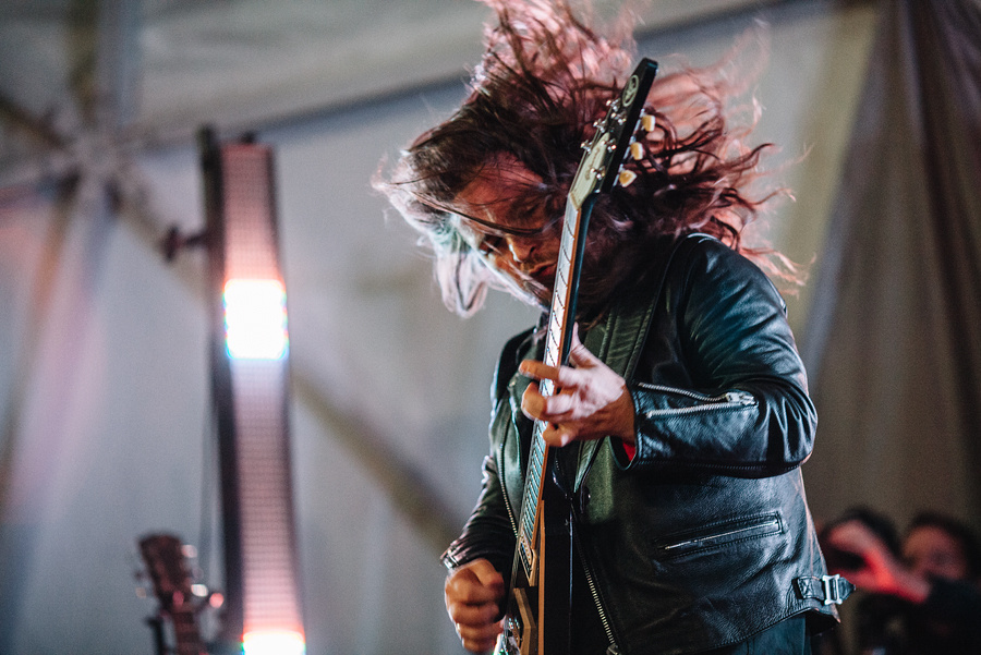 Animal ДжаZ. Фотограф Михаил Ряховский