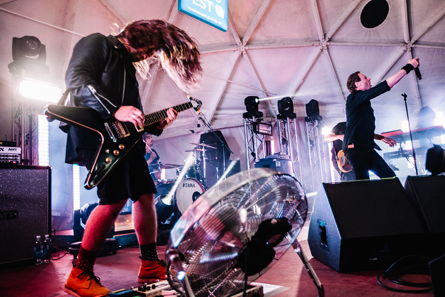 Animal ДжаZ. Фотограф Михаил Ряховский