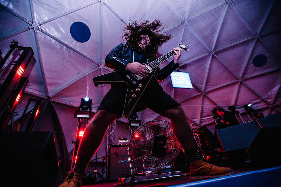 Animal ДжаZ. Фотограф Михаил Ряховский