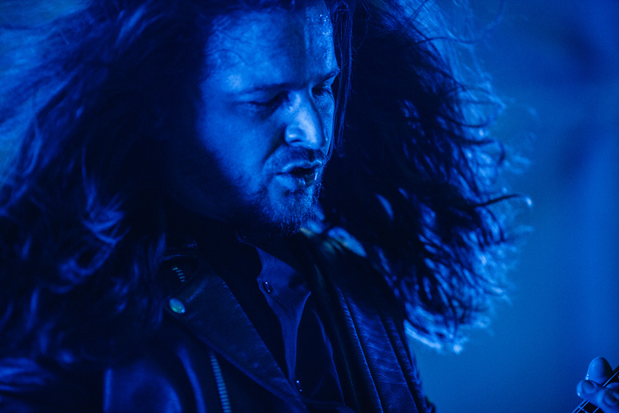 Animal ДжаZ. Фотограф Михаил Ряховский