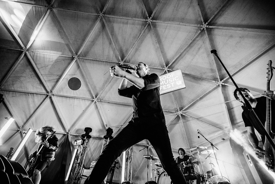 Animal ДжаZ. Фотограф Михаил Ряховский