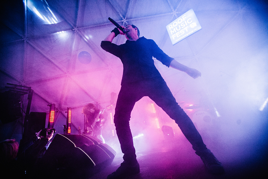 Animal ДжаZ. Фотограф Михаил Ряховский