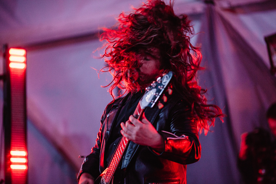 Animal ДжаZ. Фотограф Михаил Ряховский