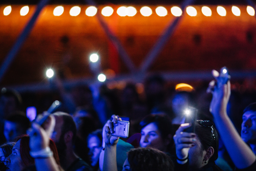 Animal ДжаZ. Фотограф Михаил Ряховский