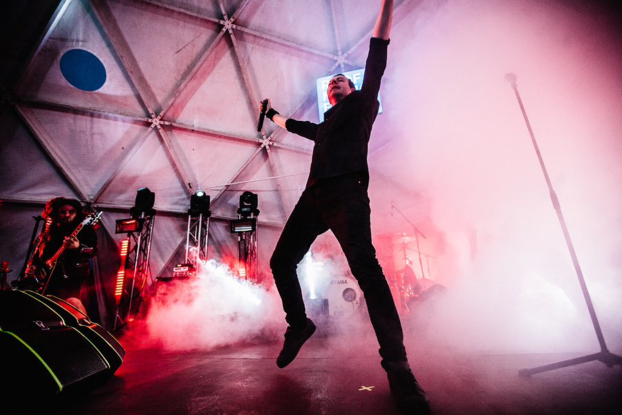 Animal ДжаZ. Фотограф Михаил Ряховский