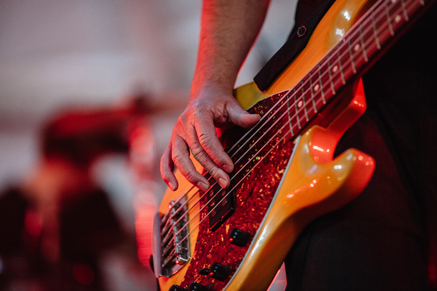 Animal ДжаZ. Фотограф Михаил Ряховский