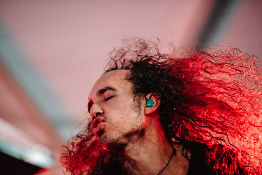 Animal ДжаZ. Фотограф Михаил Ряховский