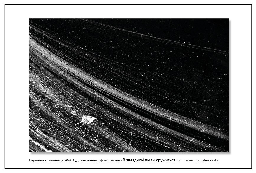 Арт & поэзия. Татьяна Корчагина. Фотограф, художник. Обучение фотографии