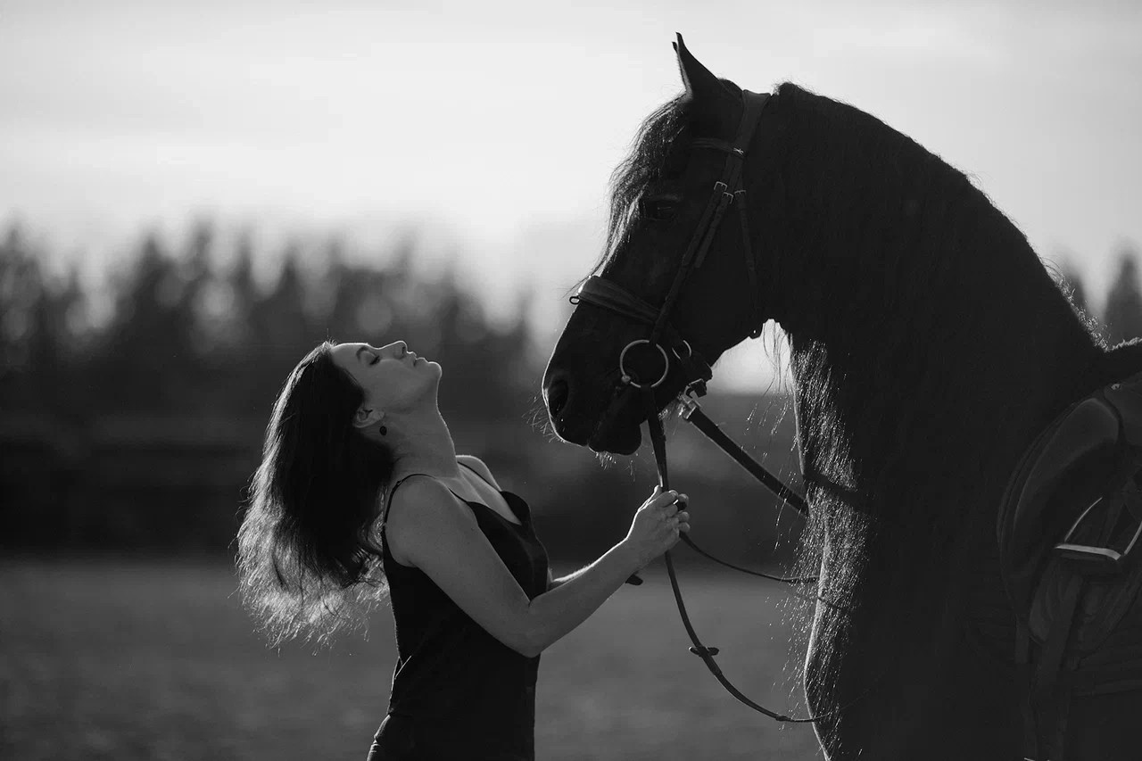 Фотосессия с фризом, фризская лошадь фотосессия