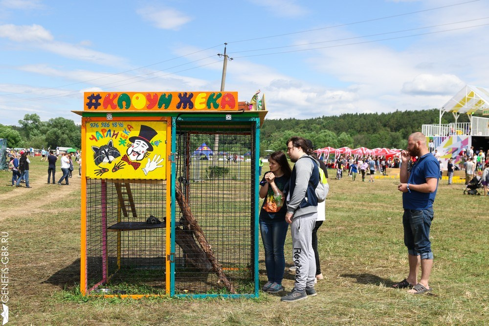 Фестиваль Дикая Мята. Репортажный и интерьерный фотограф Александра Солдатова